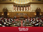public-senat-article