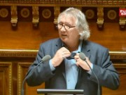 Le sénateur morbihannais Joël Labbé avait retiré sa cravate au Sénat pour protester contre le refus de sa proposition pour l'interdiction des insecticides néonicotinoïdes | Capture d'écran