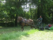 Faire à cheval