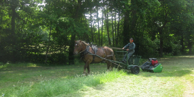 Faire à cheval