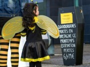 Marche des apiculteurs à Rennes