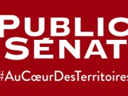 Public Sénat