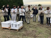 Transhumance des abeilles