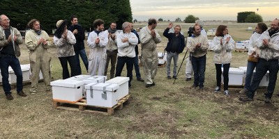 Transhumance des abeilles