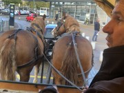 Faire à cheval