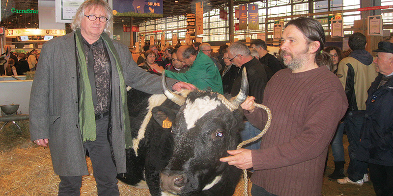 En compagnie de Vincent Thébaud, éleveur de vaches bretonnes Pie Noir (Saint-Congard). © G. Coueffard