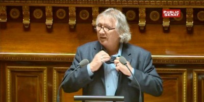 Le sénateur morbihannais Joël Labbé avait retiré sa cravate au Sénat pour protester contre le refus de sa proposition pour l'interdiction des insecticides néonicotinoïdes | Capture d'écran