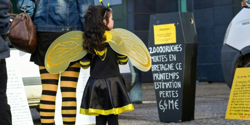 Marche des apiculteurs à Rennes