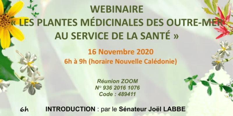 20201115_webinaire_plantes_medicinales_outremer